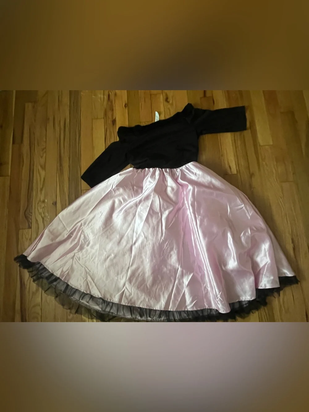 Girls dress Skip Bop 50s Pink Poodle Skirt Costume with Black Top Large 12-14
